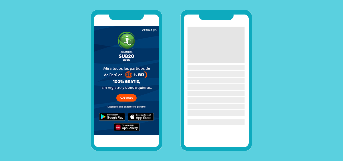 Interna-interstitial